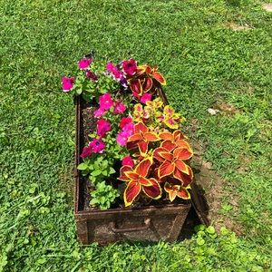 Meet your Posher, Lele